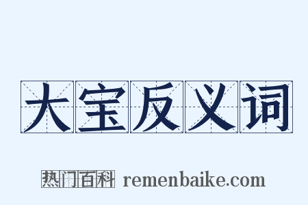 大宝反义词是什么意思的图片